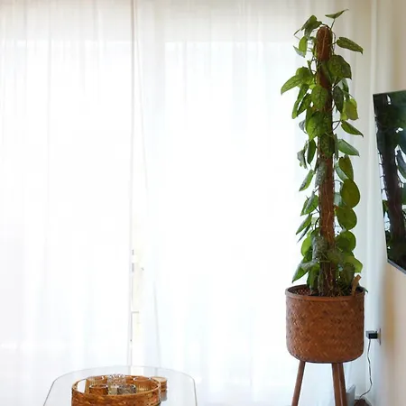 Bright Apartment