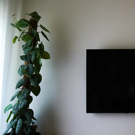 Apartment Bright